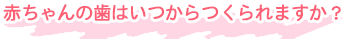 赤ちゃんの歯はいつからつくられますか？